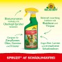 Neudorff Spruzit AF Schädlingsfrei 500ml: Spritzmittel gegen Blattläuse und andere Schädlinge.