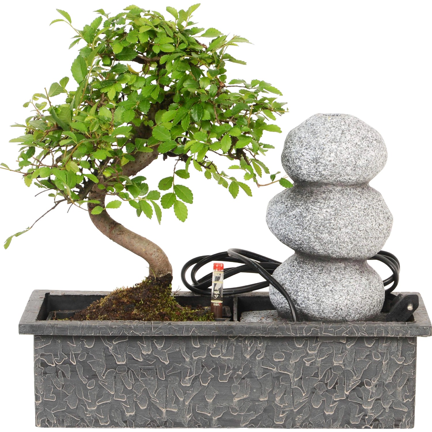 Wasserfall Arrangement mit Easycare Bonsai kaufen bei OBI