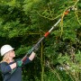 Frau schneidet Ast mit Bosch Akku-Baumschere Advanced Prune 18V-45 mit Verlängerung.