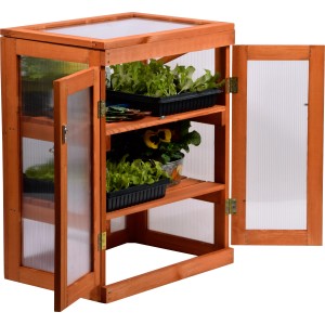 Offenes Frühbeet Schrank Anzucht aus Kiefernholz mit Pflanzen auf Regalböden.