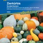 Kiepenkerl Zierkürbis Samen: Vielfältige Gartenkürbisse in verschiedenen Formen und Farben.
