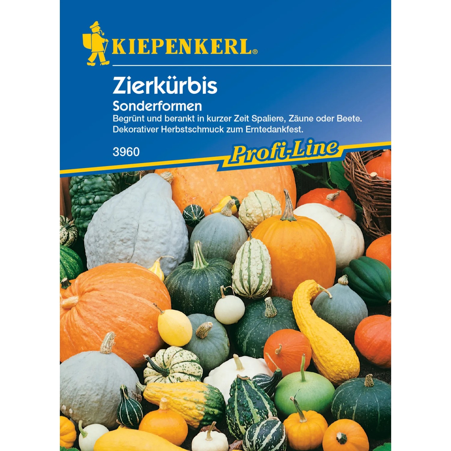 Kiepenkerl Zierkürbis Samen: Vielfältige Gartenkürbisse in verschiedenen Formen und Farben.
