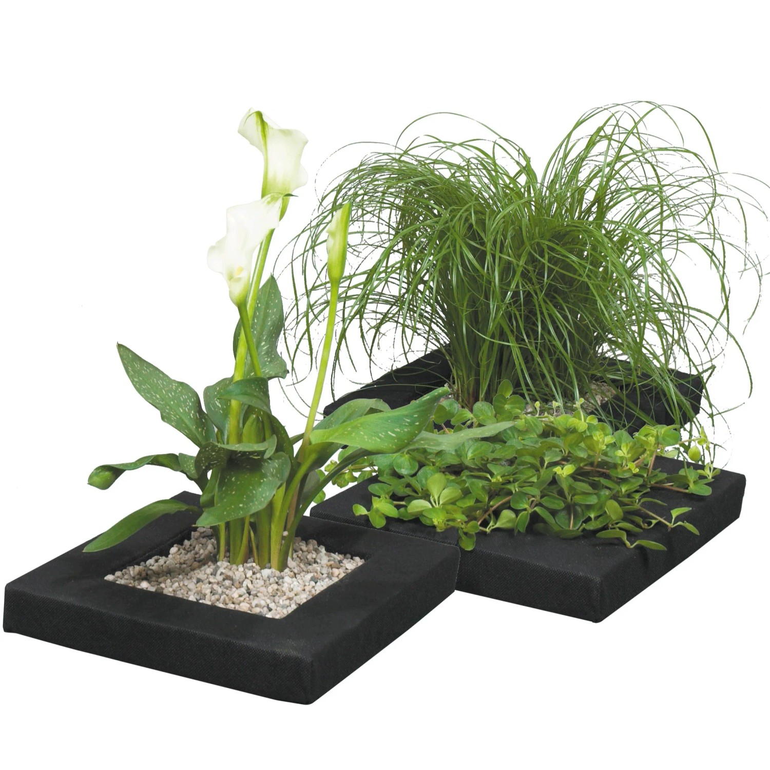 Eckige Velda Pflanzkörbe Floating Plant Island mit Teichpflanzen, 25 cm.