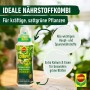 Flasche Compo Grünpflanzen- und Palmendünger 1 l für kräftige, grüne Pflanzen.