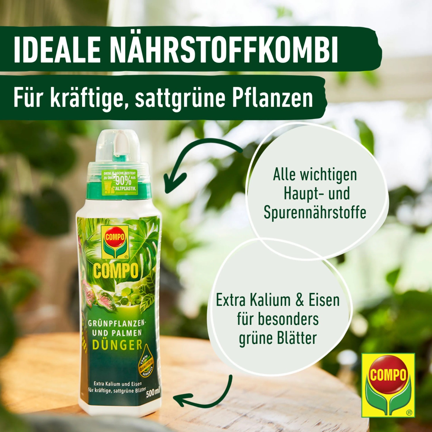 Compo Grnpflanzen- und Palmendnger mit Sofortwirkung 1 l kaufen bei OBI