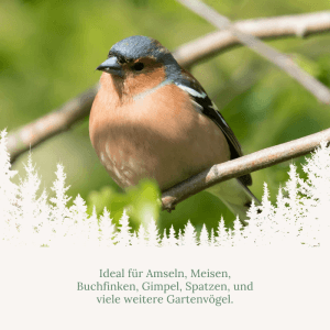 Farbiger Buchfink auf Ast, ideal für Orni Meisenknödel mit Insekten, Wildvogelfutter.