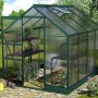 Vitavia Gewächshaus Apollo 5000 Smaragd mit Fundament, 5 m², mit Pflanzen und Regalen.