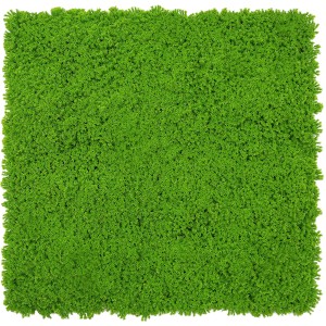 Jangal Wandpaneel Modular Wall in Lime Green mit Moos-Design, 52x52 cm. Grüne Wanddekoration.