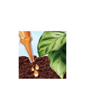 Compo Bio-Grünpflanzen-Aufbaukur 30 ml