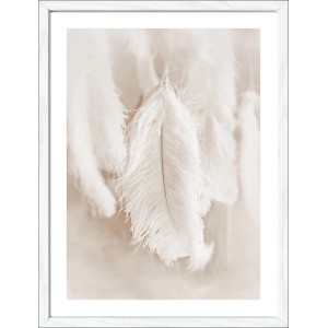 Pro Art Bild "The Feather II" (40x30 cm) mit weißen Federn im weißen Rahmen.
