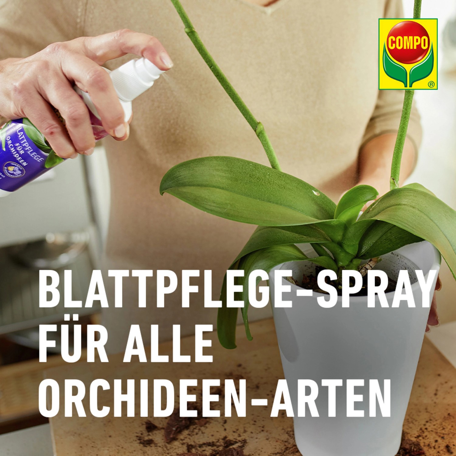 Compo Blattpflege für Orchideen 250 ml_8