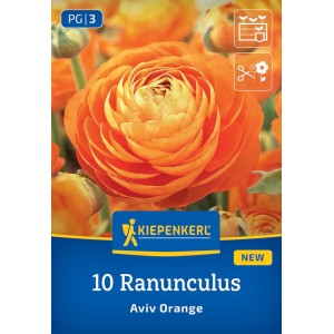 Kiepenkerl Blumenzwiebeln Ranunkeln Orange