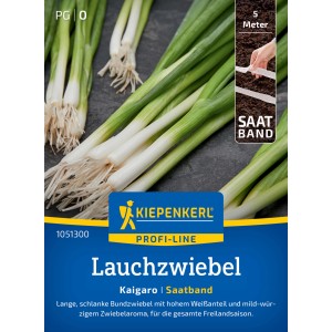 Kiepenkerl Lauchzwiebel Kaigaro Saatband: Frische Lauchzwiebeln mit langem, weißen Schaft.