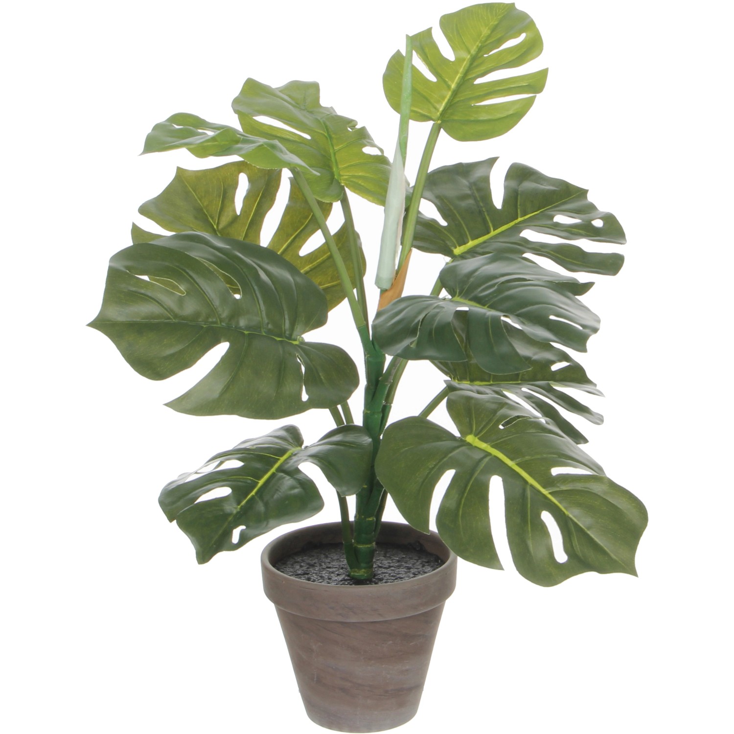 Mica Decorations Kunstpflanze Monstera H 48 cm, Ø 39 cm kaufen bei OBI