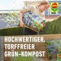 Frau schüttet Compo Bio Gärtner-Kompost torffrei in ein Hochbeet.