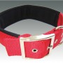 Rotes Heim Hundehalsband mit Neopren, 38 mm breit und 50 cm lang.