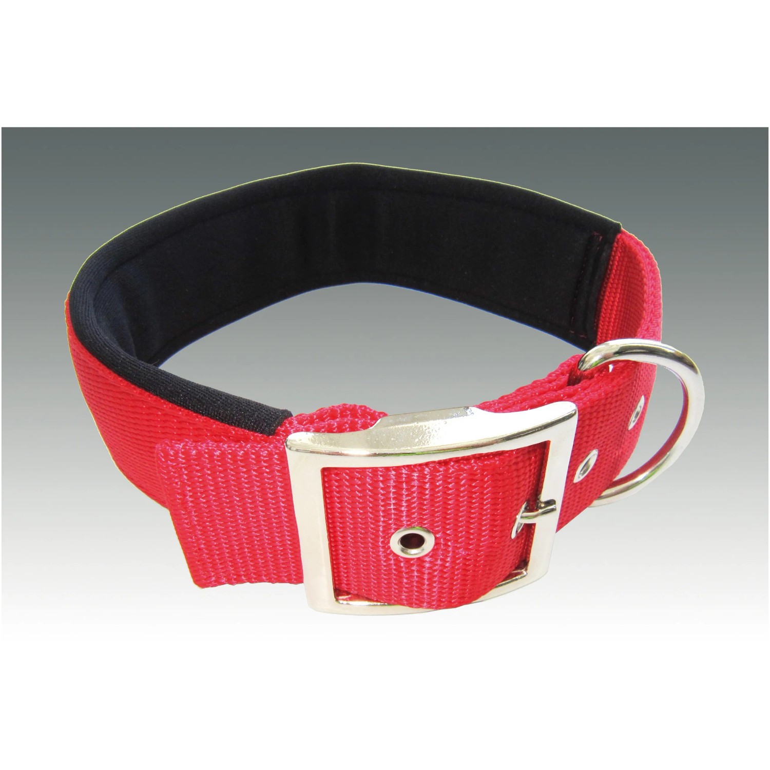 Rotes Heim Hundehalsband mit Neopren, 38 mm breit und 50 cm lang.