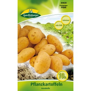 Quedlinburger Annabelle Pflanzkartoffeln, gelbe, festkochende Frühkartoffeln im Kleinpack.