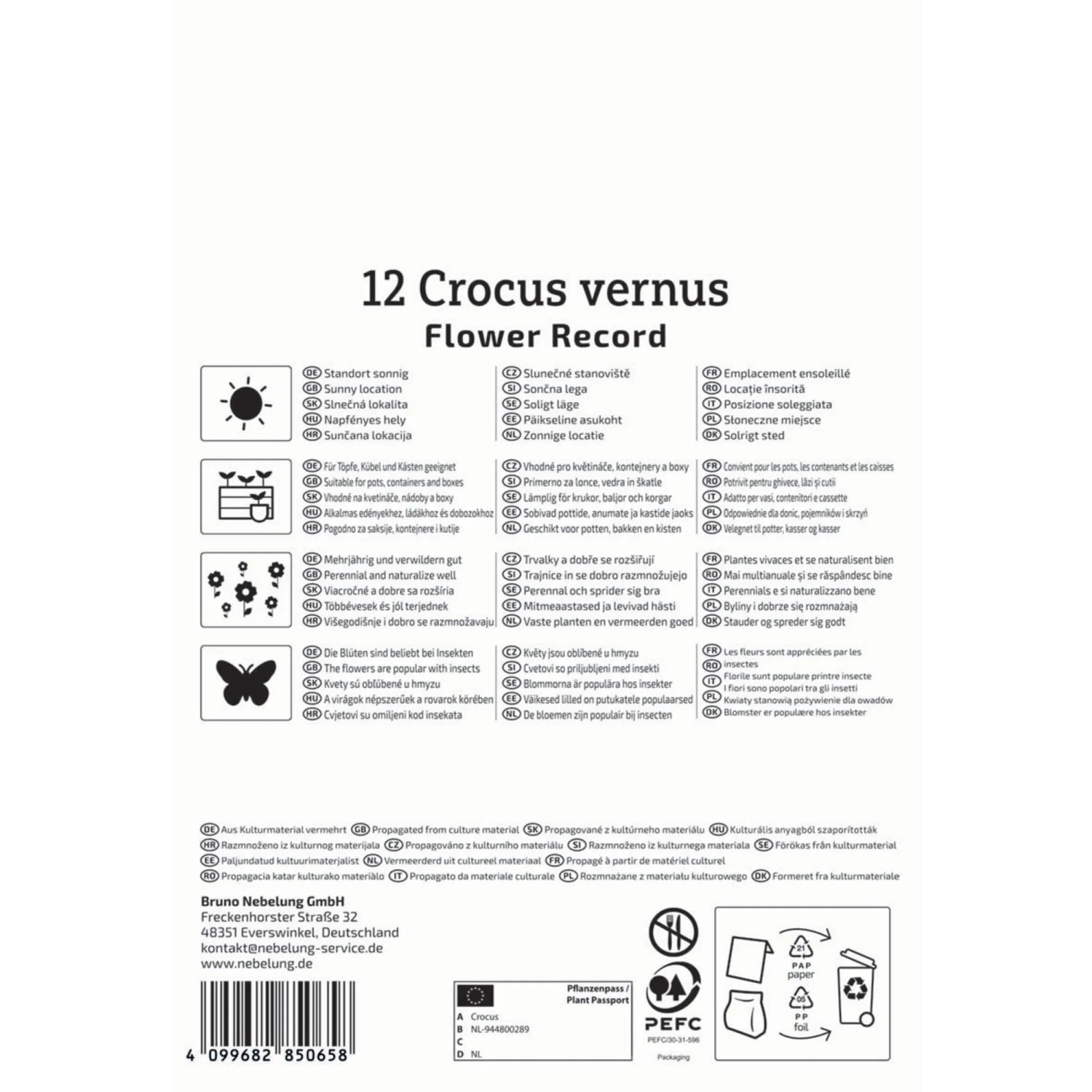 Kiepenkerl Krokus Flower Record, 12 Stück: Großblumige, lila Krokusse für Beet und Topf.