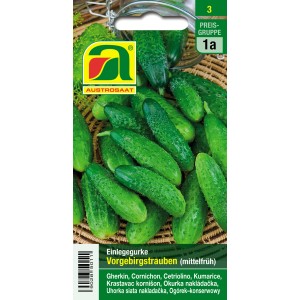Austrosaat Saatgut Einlegegurke Vorgebirgstrauben, mittelfrühe Sorte für 24 kg