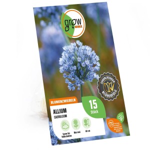 Packung GROW by OBI Zierlauch Blau, Allium caeruleum, Blumenzwiebeln für blaue Blüten.