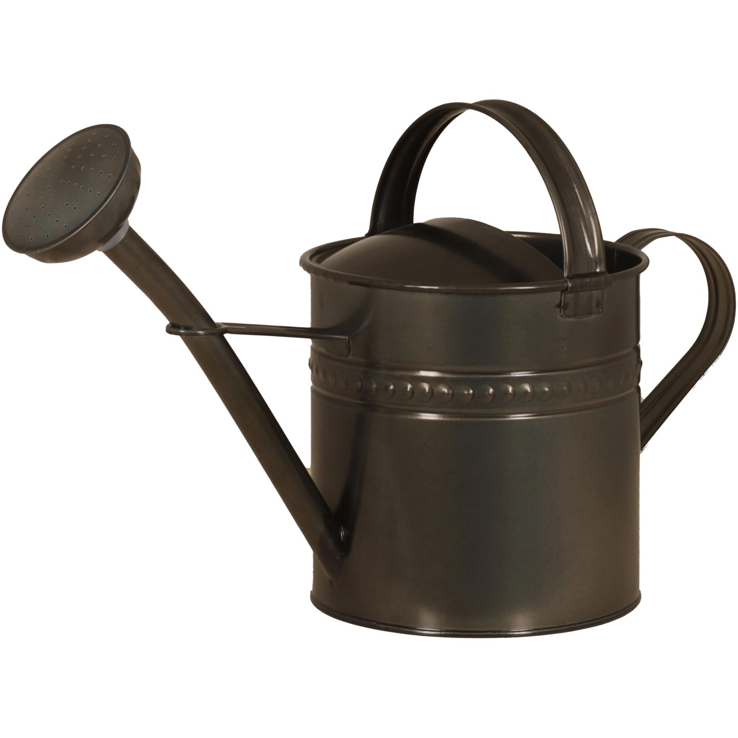 ZinkGießkanne Blacklook mit Brause 6,5 L 49 cm x 21 cm x 30 cm kaufen