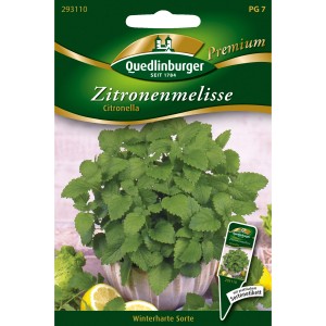 Samentüte Quedlinburger Zitronenmelisse Citronella mit Bild der Pflanze im Topf.