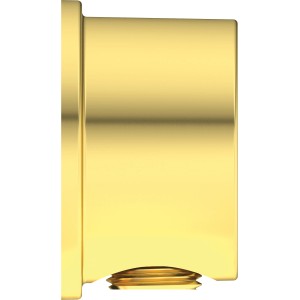Ideal Standard Brauseschlauchanschluss Idealrain Atelier, rund, gebürstetes Gold.
