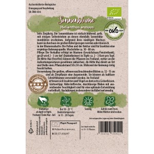 Bio-Sonnenblume 'Niedrig Gelb' Samen von Quedlinburger für farbenfrohe Blumenbeete.