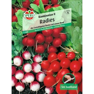 Sperli Radieschen Saatband Kombination II: Mischung aus roten und rot-weißen Radieschen.
