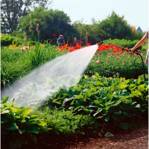 Gartenszene: Bewässerung mit Gardena Profi-System Spritz-Gießstab. Hoher Wasserdurchfluss für Pflanzen.