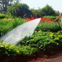 Gartenszene: Bewässerung mit Gardena Profi-System Spritz-Gießstab. Hoher Wasserdurchfluss für Pflanzen.