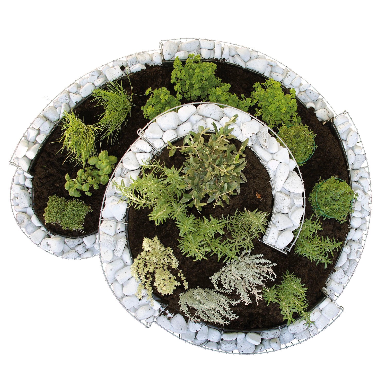 Bellissa Gabionen-Kräuterspirale Grünkraut, bepflanzt mit Kräutern, Ansicht von oben.