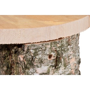 Detailaufnahme Birkenholz Nistkasten, naturbelassen, mit großem Einflugloch für Halbhöhlenbrüter.