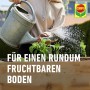 Gärtner bewässert Pflanzen im Hochbeet mit Compo Bio Gärtner-Kompost für fruchtbaren Boden.