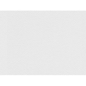 Meistervlies Protect Vliestapete Putzoptik FSC®