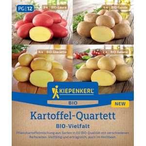 Kiepenkerl Pflanzkartoffel Quartett Bio, 12 St