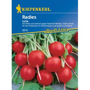 Kiepenkerl Radieschen Lucia F1-Hybride: Leuchtend rote, runde Radieschen auf der Samenpackung.