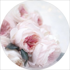 Glasbild Pink Flowers, 30x30 cm, mit zarten rosa Rosenblüten als Wanddeko.