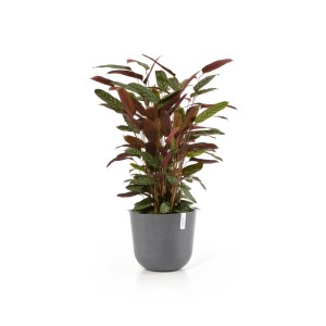 Ecopots Pflanztopf Oslo Grau 35 cm x 30,5 cm