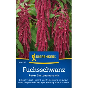 Kiepenkerl Fuchsschwanz Rot: Amaranthus-Samen für Beet, Schnittblumen und Trockensträuße.