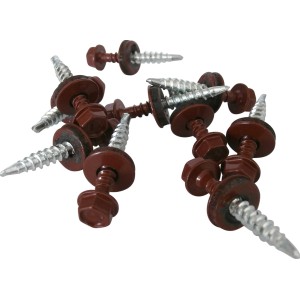 Easypan Schrauben Selbstschneidend 20 mm Rot 40 Stück