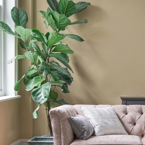 Wohnraum mit Laura Ashley Wandfarbe Pale Gold Gelb, kombiniert mit Sofa und Zimmerpflanze.