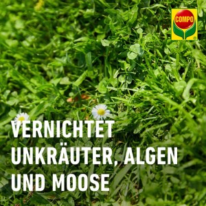 Vorox Unkrautfrei Express: Detailaufnahme von Unkraut, Algen und Moos im Garten.
