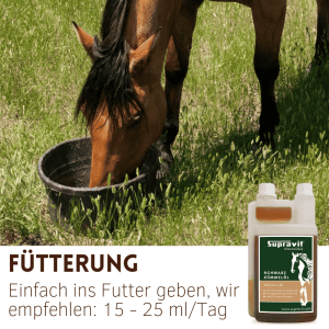 Braunes Pferd frisst Pferdefutter aus Eimer auf Wiese. Supravit Schwarzkümmelöl Liquid in Dosierflasche.