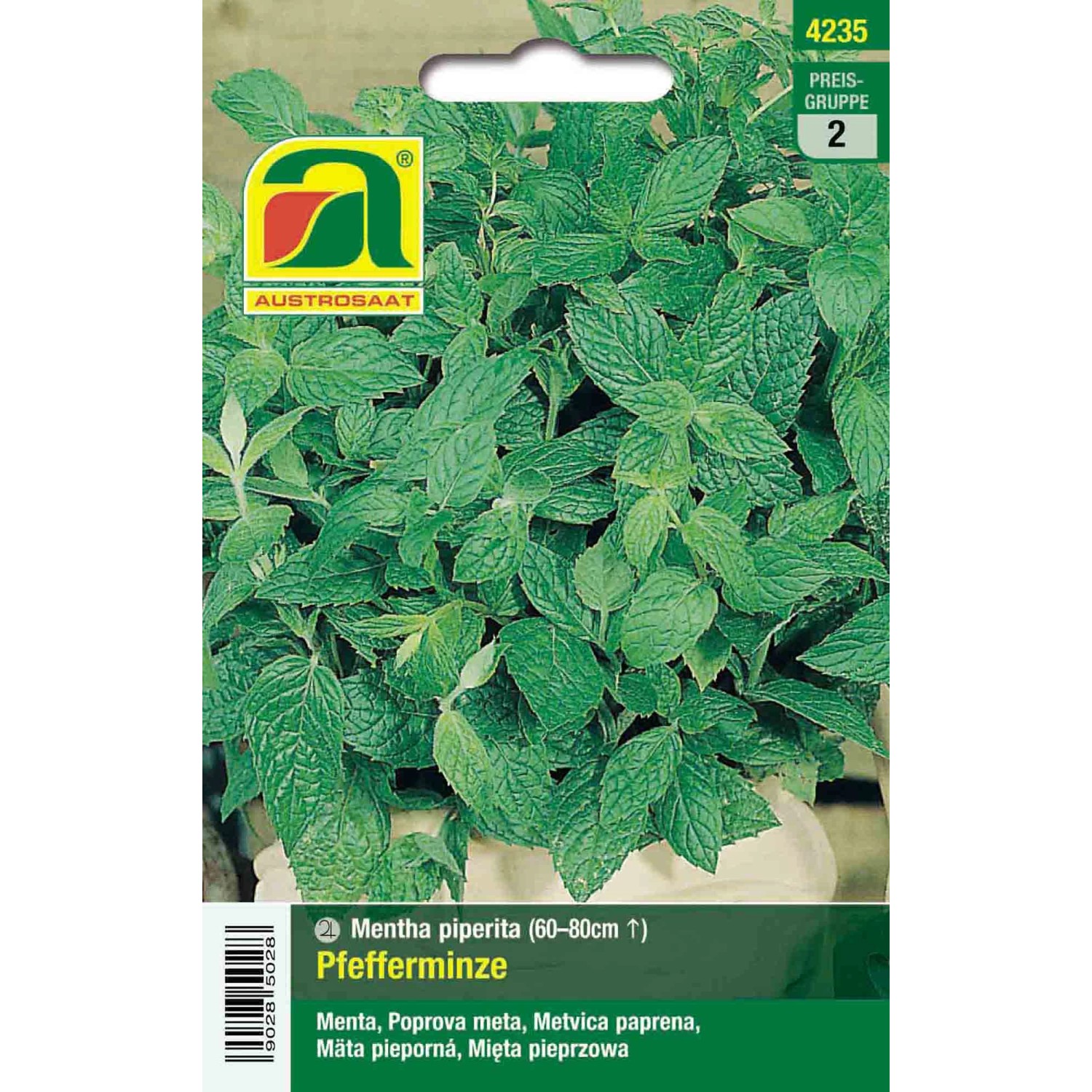 Austrosaat Saatgut Pfefferminze erfrischender Mentholgeschmack Mentha  piperita kaufen bei OBI