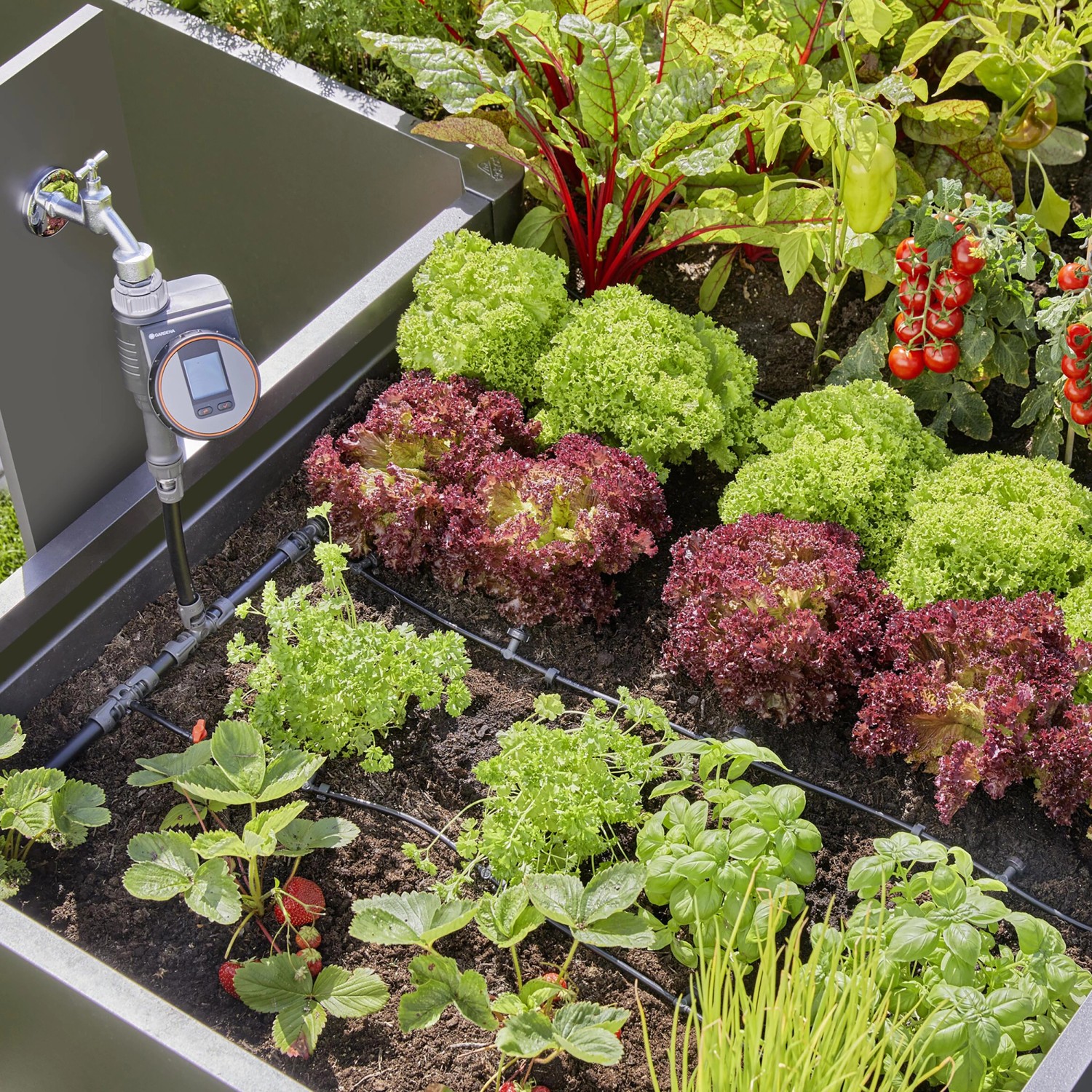 Gardena Tropfbewässerung Set im Hochbeet mit Salat, Erdbeeren und Bewässerungssteuerung.