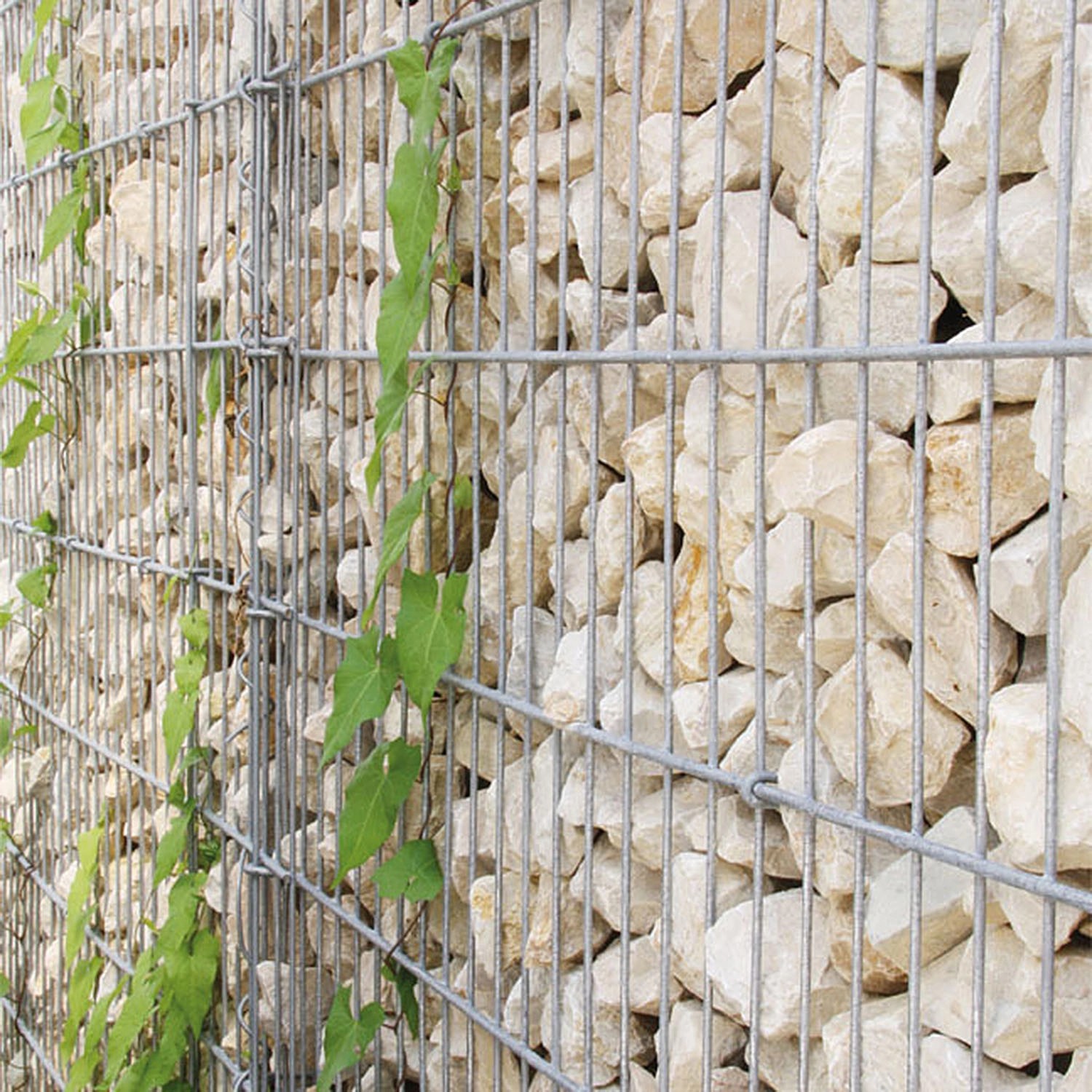 Gabionen-Basisbausatz Limes mit Steinen und Pflanzen, ideal als Sichtschutz.