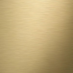 Detailaufnahme: Gebürstetes Messing, Teil des Tiger Tune Toilettenpapierhalters in Gold und Schwarz.