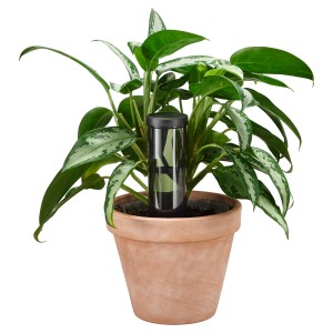 Fiskars Wasserspender 350 ml im Einsatz in einem Blumentopf mit Pflanze.